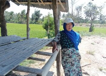 PETANI RK 1 BITTOENG KESULITAN AIR UNTUK ALIRI SAWAH
