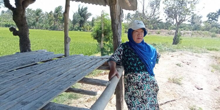 PETANI RK 1 BITTOENG KESULITAN AIR UNTUK ALIRI SAWAH