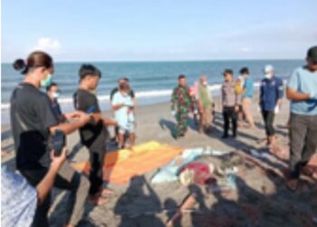 Nelayan di Pinrang Temukan Mayat, Terdampar di Bibir Pantai Lowita