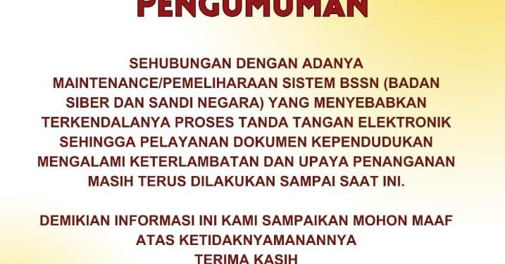 Disdukcapil Pinrang : Gangguan Jaringan Tanda Tangan Elektronik (TTE) E-Sing