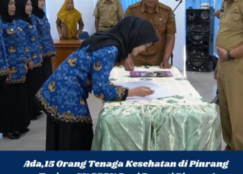 Ada 15 Orang Tenaga Kesehatan di Pinrang Terima SK PPPK Dari Bupati Pinrang