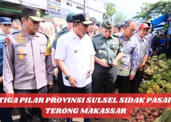Tiga Pilar Provinsi Sulsel Sidak Pasar Terong Makassar