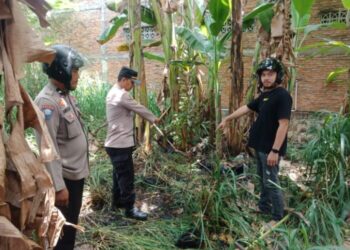 Seorang Pria Di Pinrang Nekat Membakar Dirinya
