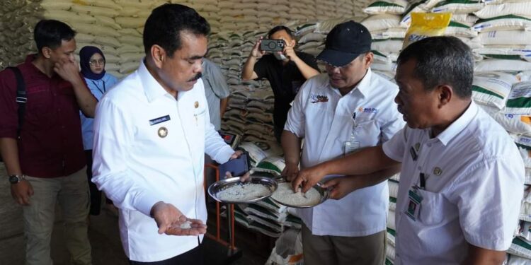 PJ.Bupati Pinrang Tinjau Kondisi Beras Bantuan Pangan