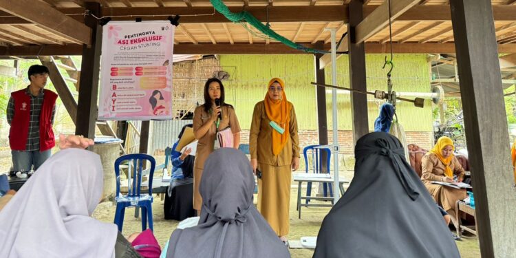 Mahasiswa KKN -PK UNHAS Penyuluhan Cegah Stunting dan Pentingnya ASI Eksklusif