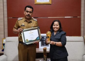 Dinkes Pinrang Dan 2 Tenaga Medis Terima Penghargaan Tingkat Nasional