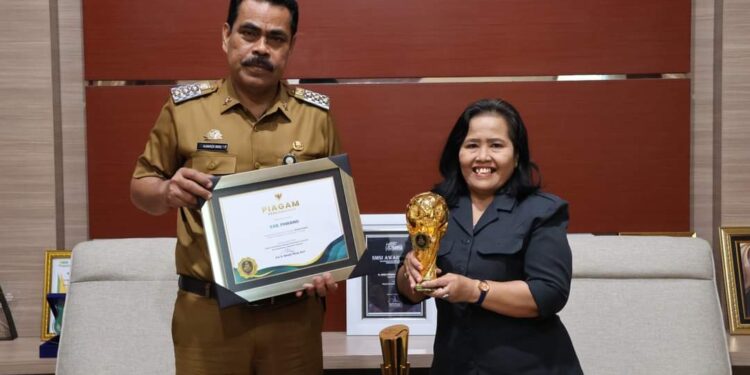 Dinkes Pinrang Dan 2 Tenaga Medis Terima Penghargaan Tingkat Nasional