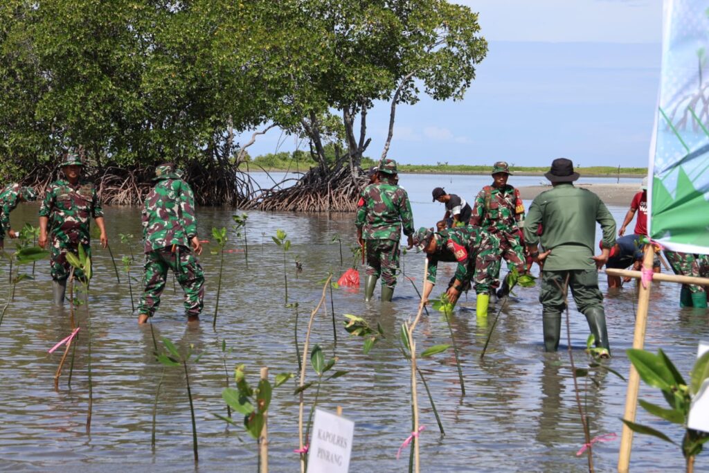 Pemkab Pinrang Melaksanakan Penanaman Mangrove di Desa Paria