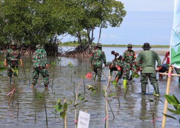 Pemkab Pinrang Melaksanakan  Penanaman Mangrove di Desa Paria