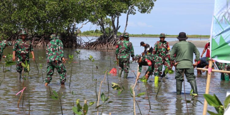 Pemkab Pinrang Melaksanakan  Penanaman Mangrove di Desa Paria