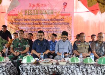Pj.Bupati Pinrang Hadiri Perayaan Pesta Panen Gabungan Kelompok Tani Padaidi