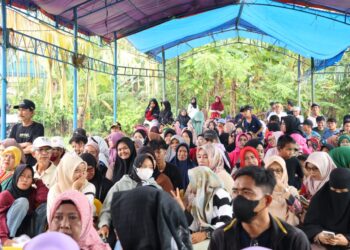 Masyarakat Warga Tani di Pinrang Merayakan Keberhasilan Hasil Panen Padi
