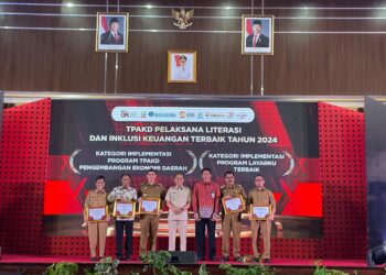 Pemkab Pinrang Menerima Penghargaan TPAKD TH 2024 Dari Pemprov Sulsel