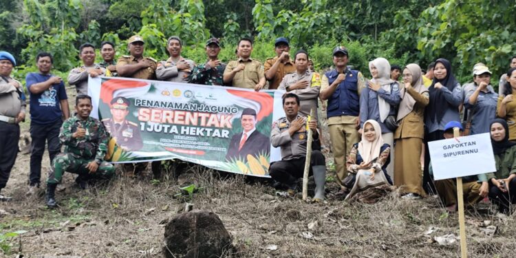 Polsek Lembang,Dukung Program di Bidang Ketahanan Pangan,Tanam Jagung di Desa Sabbang Paru