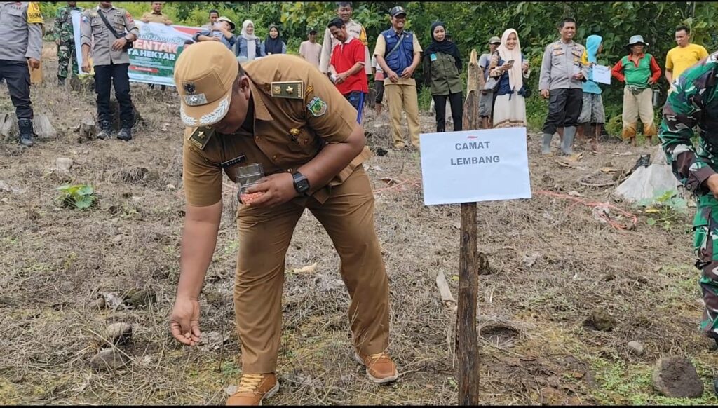 Kades Sabbang Paru Wujudkan Program Ketahanan Pangan Nasional Manfaatkan Lahan Seluas 1 Hektar
