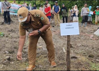 Kades Sabbang Paru Wujudkan Program Ketahanan Pangan Nasional Manfaatkan Lahan Seluas 1 Hektar