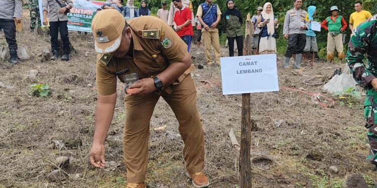 Kades Sabbang Paru Wujudkan Program Ketahanan Pangan Nasional Manfaatkan Lahan Seluas 1 Hektar