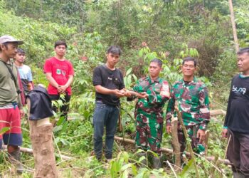 Warga Indo Apping Temukan Mortir di Kebun Durian, Diduga Masih Aktif