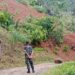 Longsor,Tutup Jalan 2 Desa di Kecamatan Lembang Pinrang.