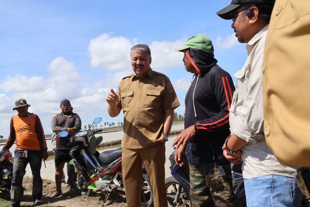Bupati Pinrang Irwan Hamid Dampingi Petani Tanam Perdana di Lahan Rawa Samaturue