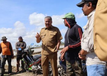 ‎Bupati Pinrang Irwan Hamid Dampingi Petani Tanam Perdana di Lahan Rawa Samaturue