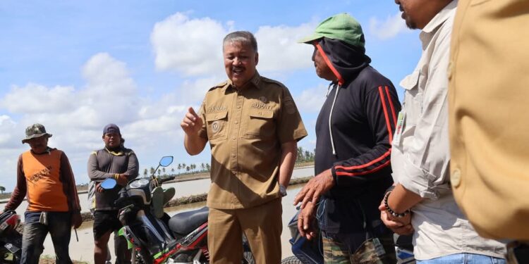 ‎Bupati Pinrang Irwan Hamid Dampingi Petani Tanam Perdana di Lahan Rawa Samaturue