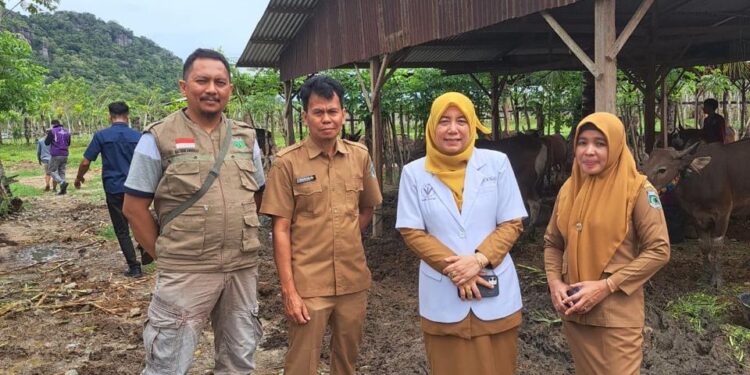 Jelang Hari Raya Idul Adha, Dinas Peternakan dan Perkebunan Pinrang  Melakukan Pemeriksaan Hewan Jenis Sapi dan Kambing