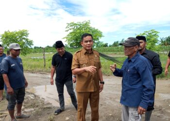 ‎Angin Kencang di Pinrang Merusak Sejumlah Rumah Warga di Desa Salipolo