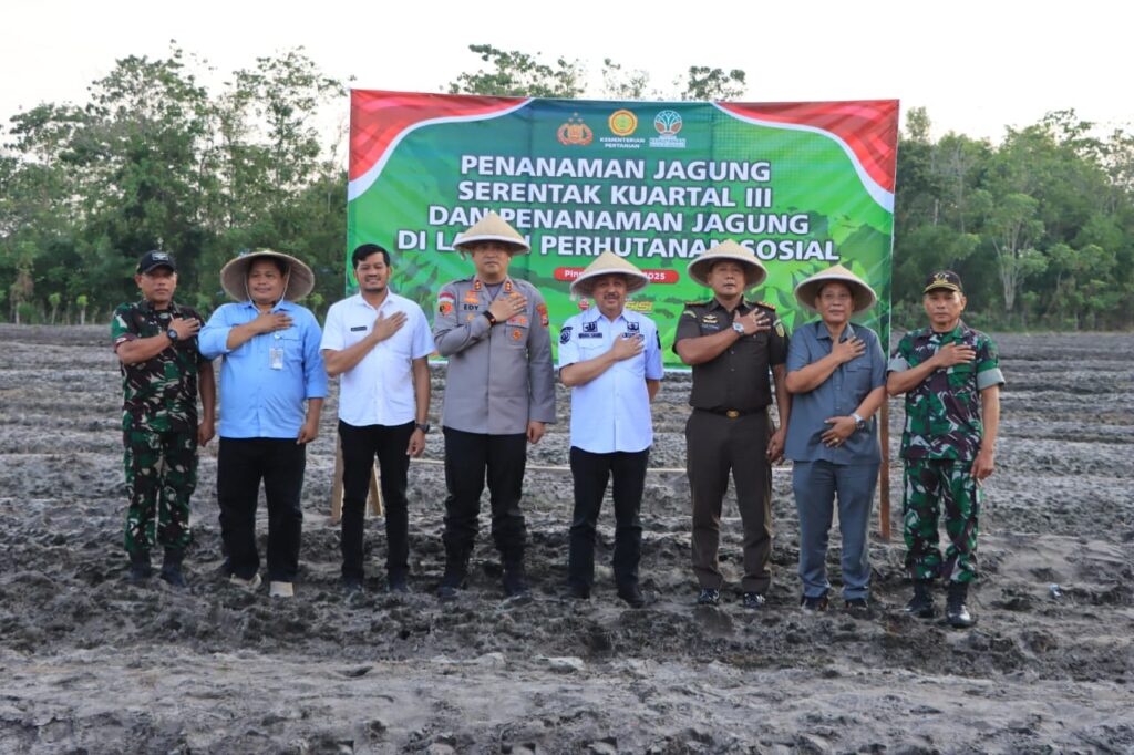 Gebrak Ketahanan Pangan Nasional: Bupati Pinrang dan Polri Pimpin Gerakan Tanam Jagung Serentak di Sipatuo!