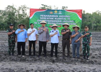 Gebrak Ketahanan Pangan Nasional: Bupati Pinrang dan Polri Pimpin Gerakan Tanam Jagung Serentak di Sipatuo!