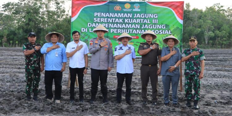 Gebrak Ketahanan Pangan Nasional: Bupati Pinrang dan Polri Pimpin Gerakan Tanam Jagung Serentak di Sipatuo!