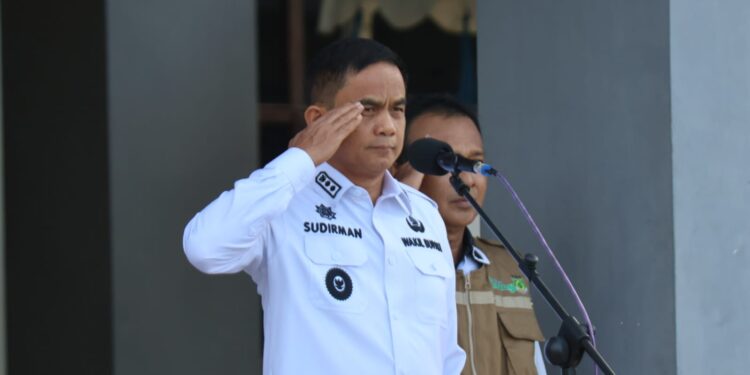 Wabup Pinrang Sudirman Bungi Pimpin Upacara Harkopnas ke 78