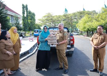 Ketua TP-PKK Pinrang Terima Bantuan Investigasi Stunting. Secara Simbolis dari Bupati Irwan Hamid. S.Sos
