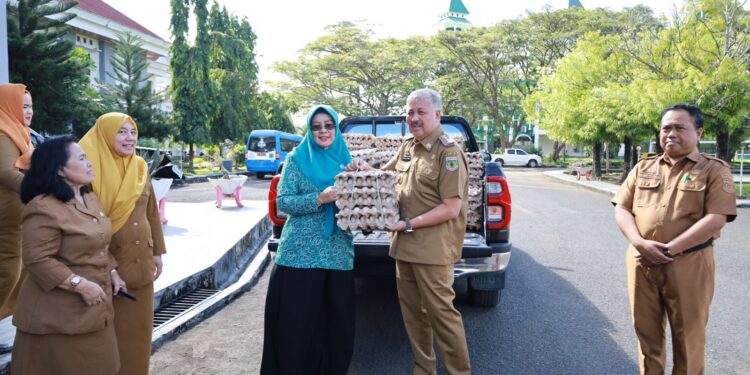 Ketua TP-PKK Pinrang Terima Bantuan Investigasi Stunting. Secara Simbolis dari Bupati Irwan Hamid. S.Sos