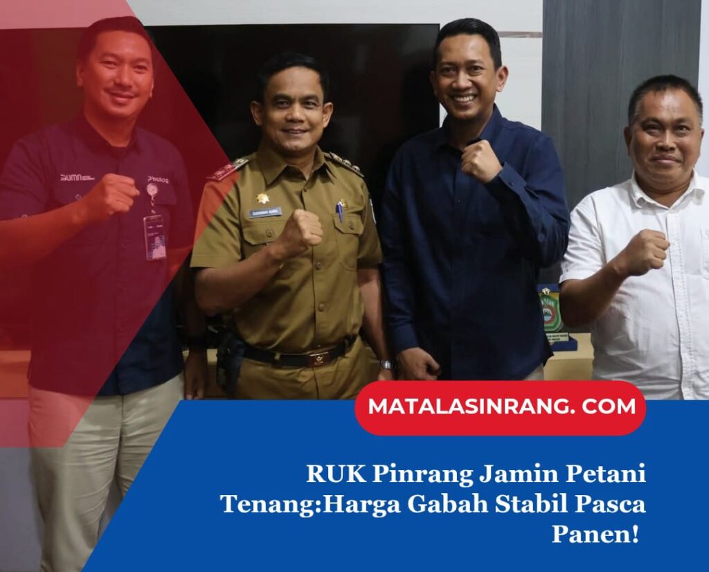 Pinrang Jamin Petani Tenang: Harga Gabah Stabil Pasca Panen! 