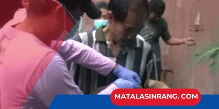 Sahabat Setia Bisa Jadi Ancaman Maut: Pinrang Waspada Lonjakan Kasus Rabies, Warga Diminta Bergerak Cepat!