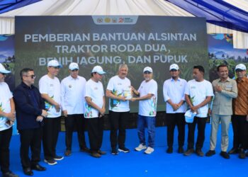 Pinrang Pacu Produksi Jagung: Langkah Strategis Sulawesi Selatan Perkuat Ketahanan Pangan Nasional