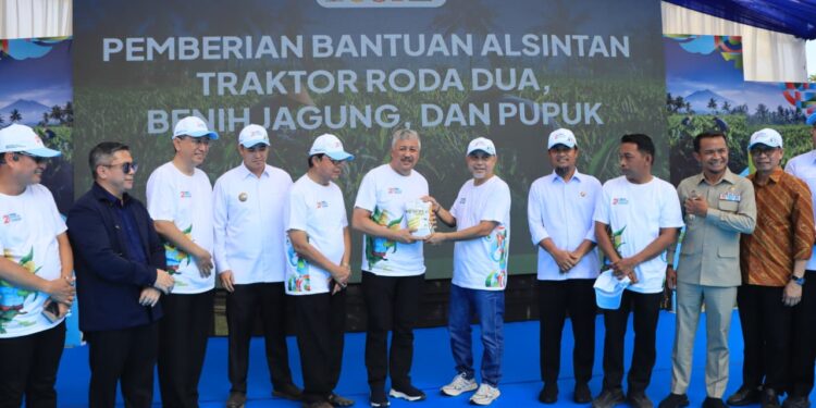 Pinrang Pacu Produksi Jagung: Langkah Strategis Sulawesi Selatan Perkuat Ketahanan Pangan Nasional