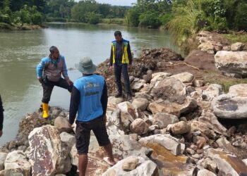 Hujan Deras Dua Hari, Tanggul Jebol di Lembang Pinrang Ancam Ratusan Hektare Sawah