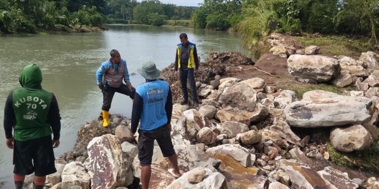 Hujan Deras Dua Hari, Tanggul Jebol di Lembang Pinrang Ancam Ratusan Hektare Sawah