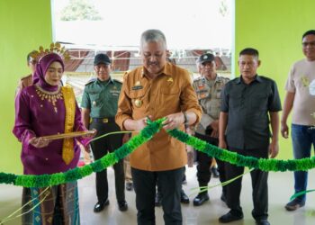 Gedung Baru Puskesmas Malimpung Diresmikan, Perkuat Layanan Kesehatan Cepat dan Aman di Patampanua