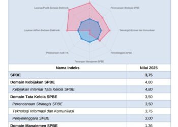 Pinrang Teratas di Sulsel, Indeks SPBE Tembus 3,75