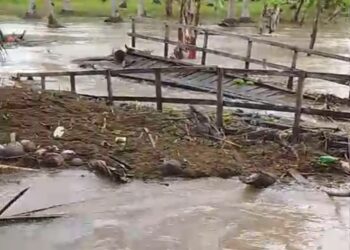 Jembatan Kayu Uling 4×11 Meter di Kampung Karajo Ambruk Diterjang Banjir