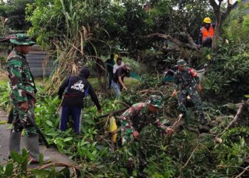 ‎TNI Koramil Duampanua Peduli, Amankan Poros Galung–Serang dari Ancaman Ranting dan Kabel Listrik