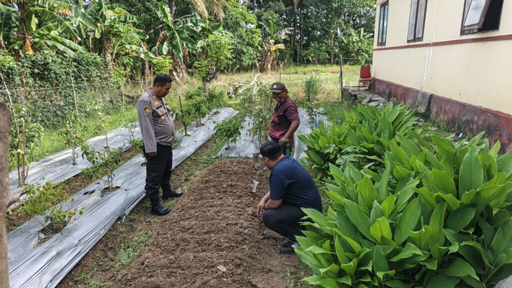 Lahan Terbengkalai Disulap Jadi P2L Bhayangkari, Kapolsek Duampanua Tuai Apresiasi