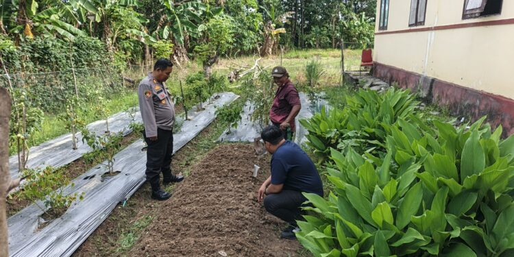 Lahan Terbengkalai Disulap Jadi P2L Bhayangkari, Kapolsek Duampanua Tuai Apresiasi