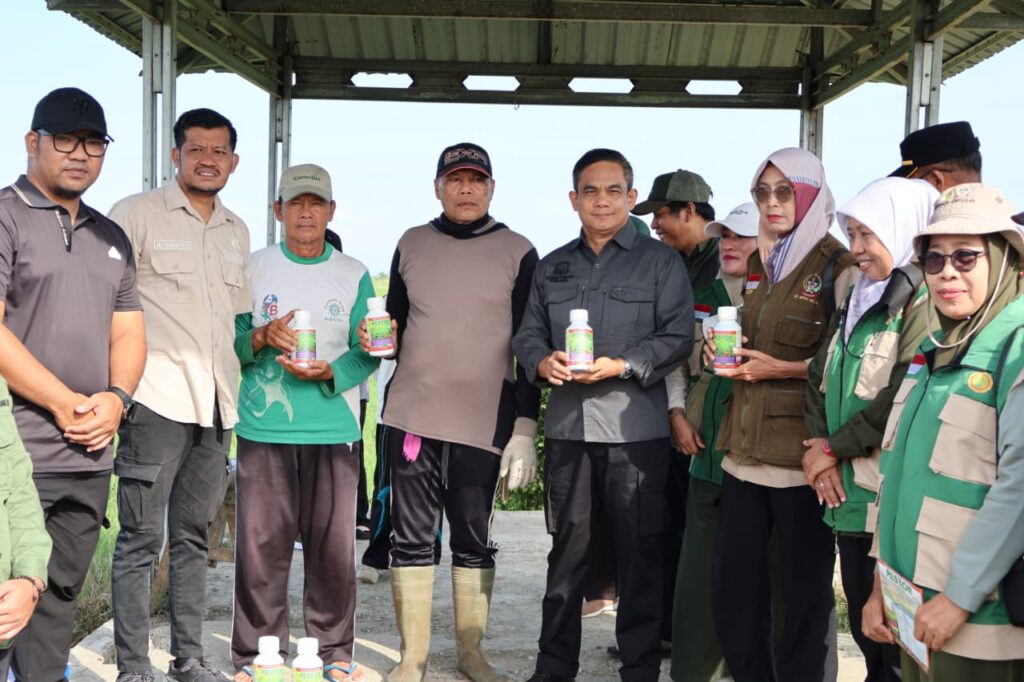 Pemkab Pinrang Turun Tangan, Lindungi Sawah Petani dari Serangan Hama