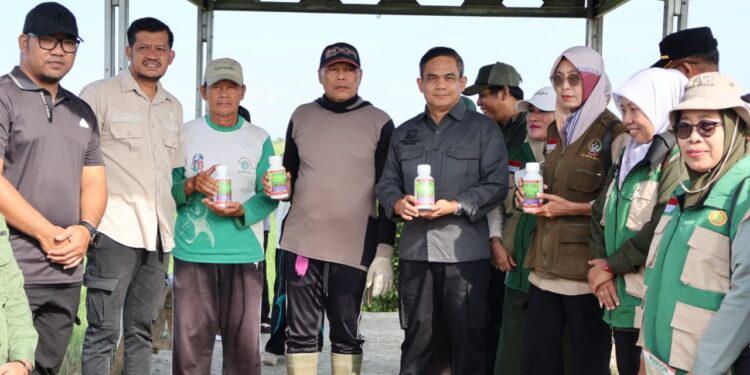 Pemkab Pinrang Turun Tangan, Lindungi Sawah Petani dari Serangan Hama