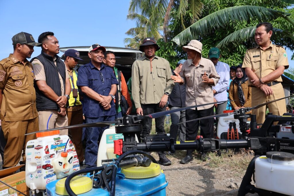 Kementan Turun Tangan Atasi Hama di Pinrang