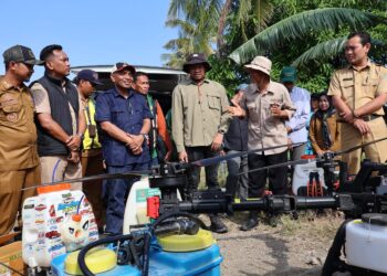 Kementan Turun Tangan Atasi Hama di Pinrang
